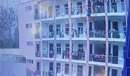 南阳学校爆料事件最新情况,最新进展与调查结果揭晓