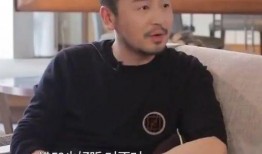 王玮爆料雷佳音视频播放,真相背后引热议