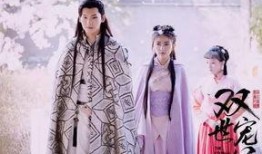 双世宠妃电视在线观看,在线观看，重温甜蜜瞬间