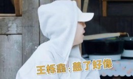 张远爆料王栎鑫视频播放,张远揭露王栎鑫视频播放背后真相