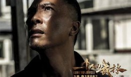 一个人的武林 在线观看