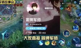 王者军师爆料视频下载免费,免费下载背后的秘密与攻略