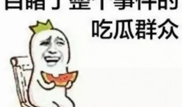 娱乐吃瓜酱受委屈小说,委屈背后的甜蜜瓜田