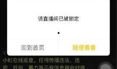 爆哥爆料视频网页,视频网页幕后故事大起底