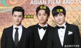 日媒爆料沈腾视频,揭秘喜剧大师的幕后故事