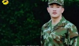 何捷战友爆料新闻视频,新闻视频背后的真相与内幕