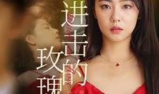 日韩 在线观看