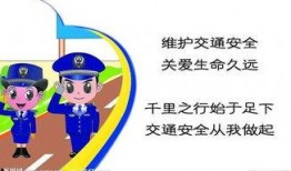 行车安全爆料视频教程,视频教程揭示常见隐患与应对策略