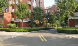 枣庄市中区最新爆料,揭秘城区发展新动向与民生改善亮点