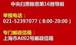 今日菜价爆料新闻报道视频,视频揭示市场动态与价格走势