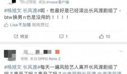 助理最新爆料,揭秘明星幕后故事