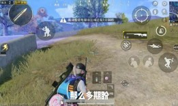 和平精英ss 19赛季爆料视频,全新爆料视频揭秘赛季亮点与改动