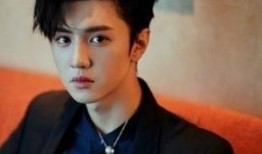 陈哲远综艺粉丝爆料视频,粉丝爆料视频揭秘精彩瞬间