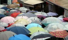 重庆网友爆料雨伞视频大全