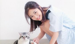 小旭娱乐爆料视频大全最新,揭秘视频大全背后的精彩瞬间