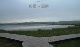 电影夹皮沟在线观看,探寻红色记忆的在线观影之旅