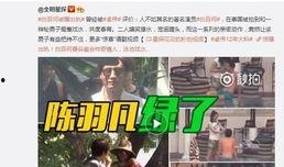 王搏被人爆料视频大全下载,网络爆料背后的真相与争议