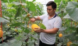 网红回村吃瓜,揭秘乡村生活新风尚