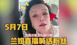 兰姐黑粉爆料事件视频大全,揭秘网络暴力背后的真相
