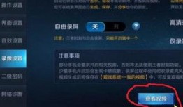 爆料者录视频怎么录的,技术解析与操作指南