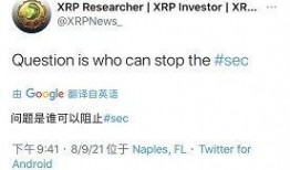 瑞波币最新爆料消息,揭秘其未来发展趋势与潜在风险