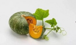 免费吃瓜长什么样子,免费吃瓜背后的神秘世界揭秘