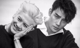 小酒大哥爆料视频全集,揭秘幕后真相与精彩瞬间