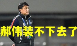 袁甲爆料郝伟完整版视频,内幕曝光，真相大白