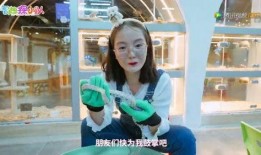 小馨儿爆料视频,幕后真相大曝光