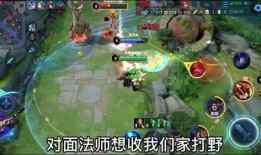 小新王者爆料视频大全,揭秘视频大全中的精彩瞬间与幕后故事