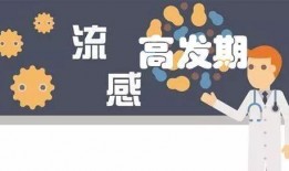 流感在线观看,揭秘病毒肆虐下的全球抗疫纪实