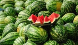 康县网红吃瓜视频爆料,一场网络热议背后的真相